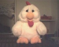 mr chicky, #wolfden's physical mascot